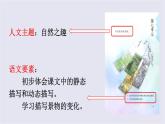 山居秋暝 课件