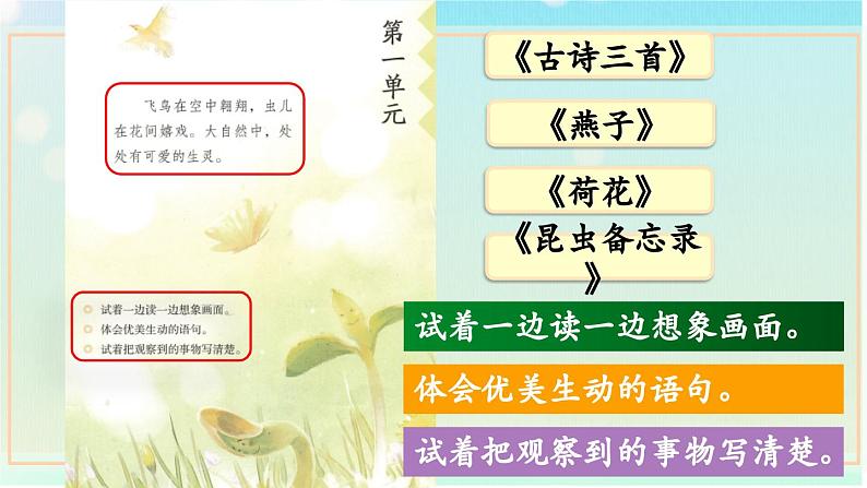 【核心素养】部编版小学语文三年级下册-语文园地一-课件+教案+同步练习（含教学反思）01