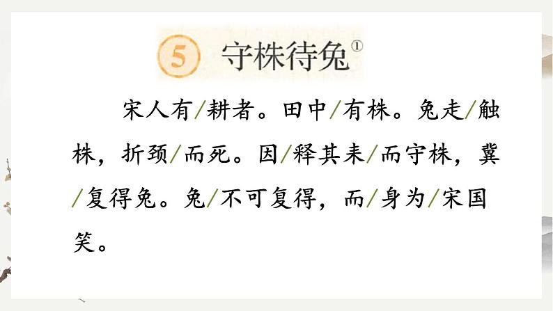 【核心素养】部编版小学语文三年级下册 5 守株待兔  课件+教案+同步练习（含教学反思）07