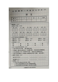 江西宜春市丰城市2023-2024学年六年级上学期期中学习评价语文试卷