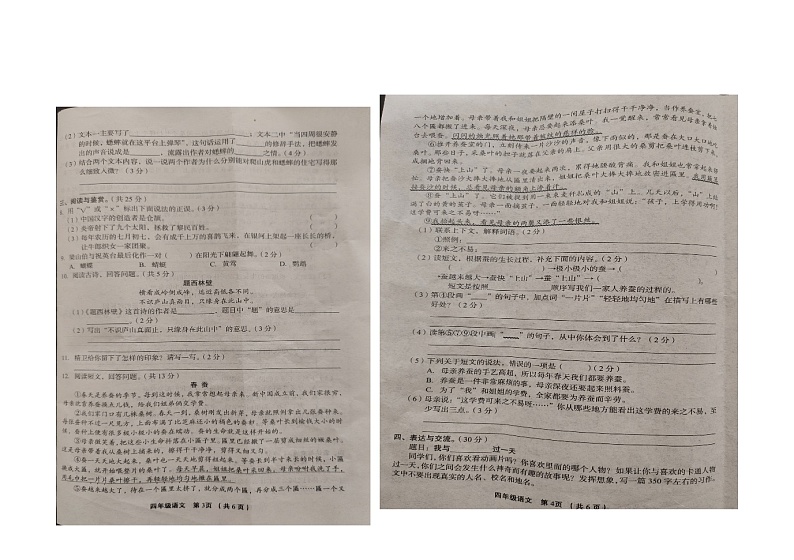 河南省漯河市临颍县2023-2024学年四年级上学期期中考试语文试卷第2页