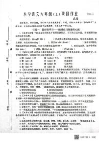 江苏省兴化市2023-2024学年六年级上学期期中阶段作业语文试卷