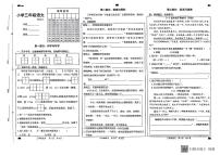 菏泽市牡丹区2023—2024学年三年级上学期语文期中试卷