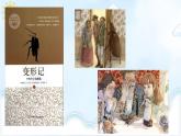 《变形记》课件