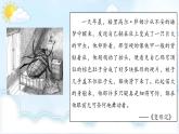 《变形记》课件