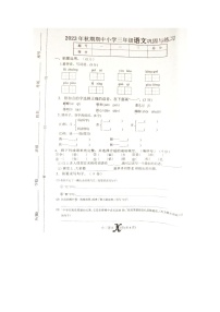 河南省南阳市内乡县2023-2024学年三年级上学期11月期中语文试题