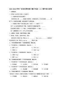 广东省东莞市虎门镇2023-2024学年六年级上学期期中语文试卷