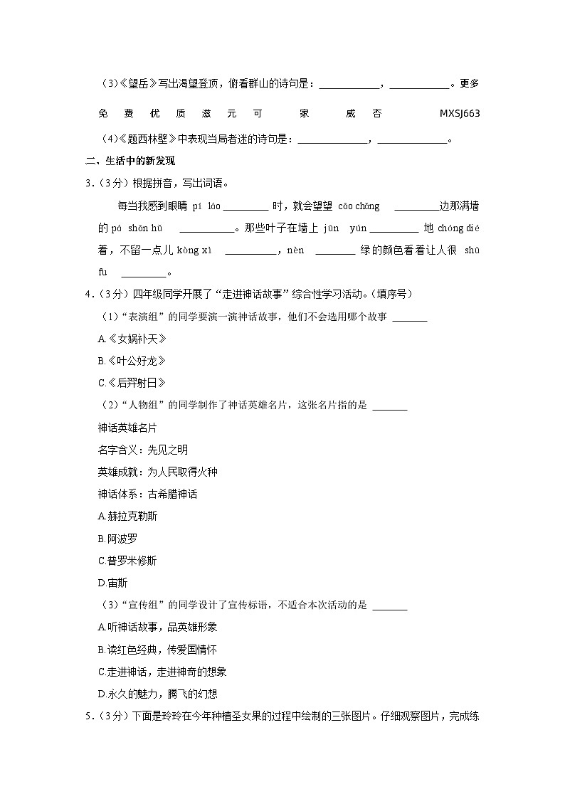 山东省青岛市市北区2023-2024学年四年级上学期期中语文试卷02