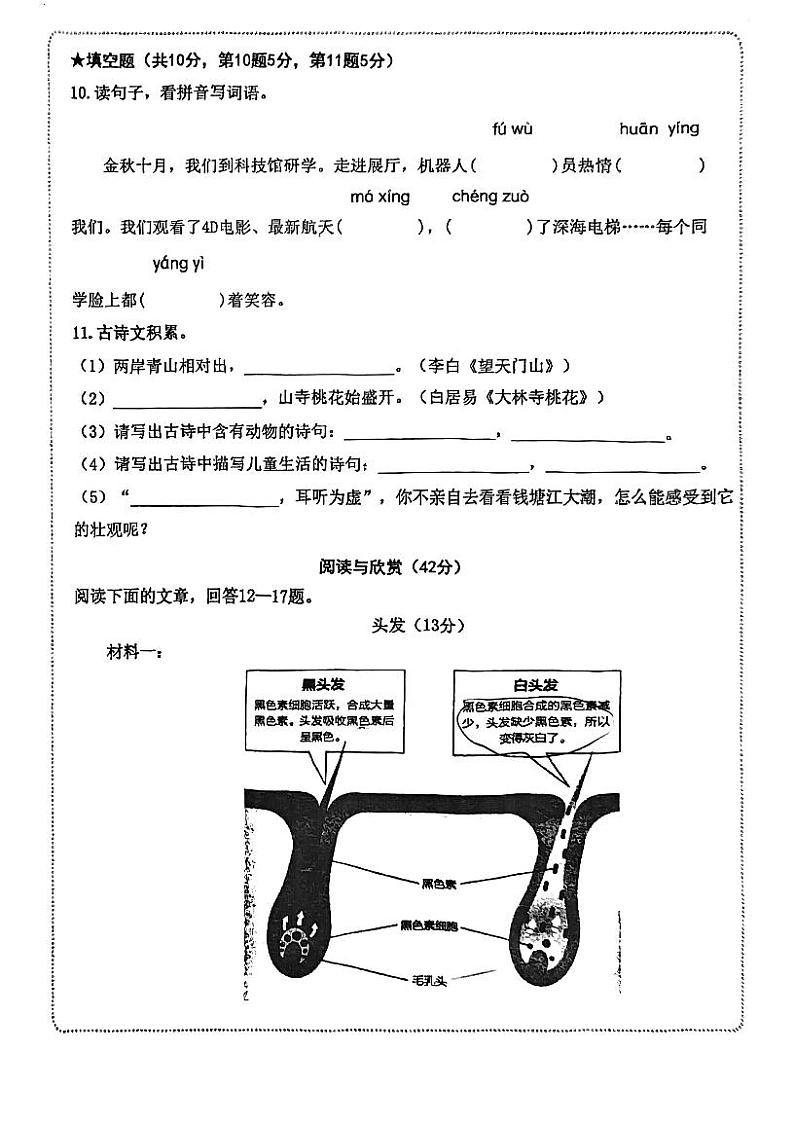 福建省厦门市思明区小学2023-2024学年四年级语文上学期期中学情调研卷02