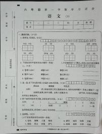 吉林省白城市通榆县育才学校第二小学联合2023-2024学年六年级上学期11月月考语文试题