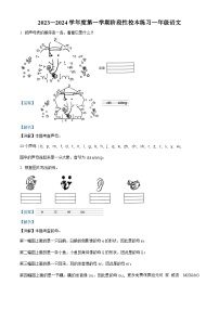 2023-2024学年安徽省芜湖市无为市部编版一年级上册期中考试语文试卷（解析版）