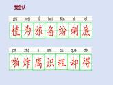 部编版二年级语文上册课件 第一单元 课文3《植物妈妈有办法》