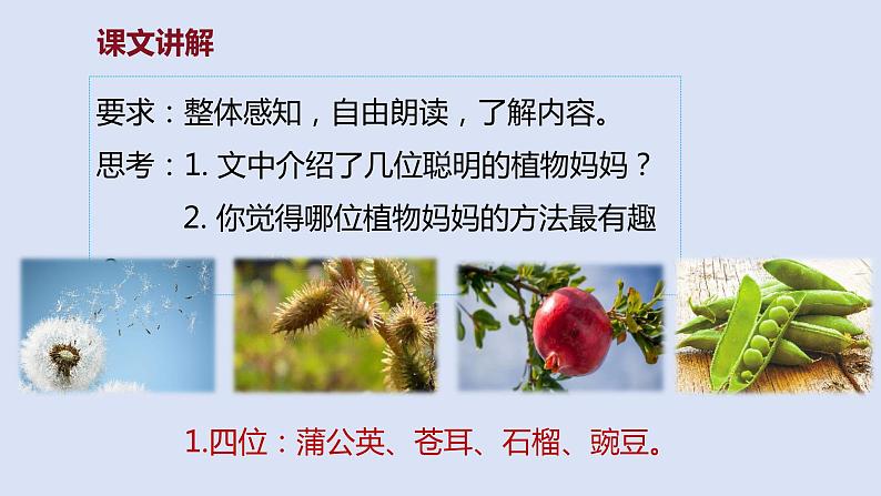 部编版二年级语文上册课件 第一单元 课文3《植物妈妈有办法》07