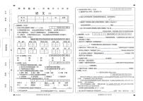 山东省临沂市兰陵县2023-2024学年四年级上学期期中语文试卷