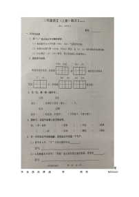 07，广东省深圳市罗湖小学2023-2024学年二年级上学期10月月考语文试题