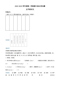 2022-2023学年广东省茂名市部编版五年级上册期中考试语文试卷（解析版）