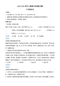 2022-2023学年河南省周口市西华县部编版六年级上册期中考试语文试卷（解析版）