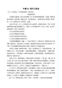 专题04+现代文阅读+-2023-2024学年语文六年级上册期末备考真题分类汇编（河北地区专版）