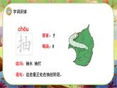 【新课标】22《小毛虫》课堂游戏互动授课课件+课文朗读