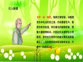 统编版语文三年级下册 13 花钟课件