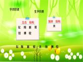 统编版语文三年级下册 15 小虾课件