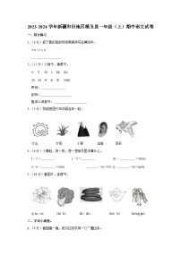 新疆维吾尔自治区和田地区墨玉县2023-2024学年一年级上学期期中考试语文试卷