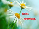 统编版五年级上册语文21《古诗词三首》（课件）