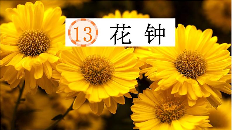 13 花钟课件第1页