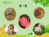 统编版语文一年级上册 7.大小多少课件