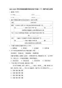 河南省南阳市南召县2022-2023学年六年级下学期4月期中语文试题