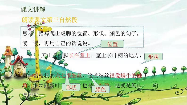 部编版语文四年级上册 10《爬山虎的脚》第2课时课件04