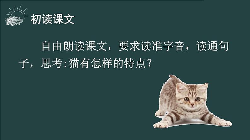 13猫（课件）四年级下册语文统编版第5页