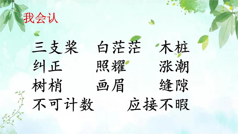 《 鸟的天堂》课件02