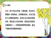【新課標】11《白樺》游戲互動課件+課文朗讀
