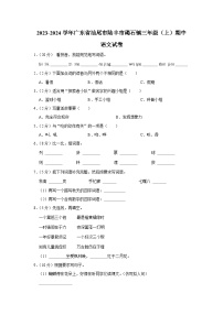 广东省汕尾市陆丰市碣石镇2023-2024学年三年级上学期期中语文试卷