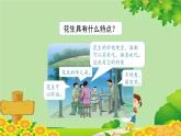统编版语文五年级上册 2《落花生》第2课时课件