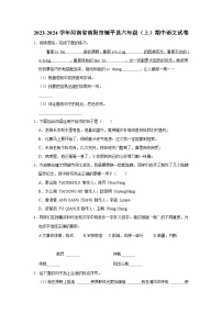 河南省南阳市镇平县2023-2024学年六年级上学期期中语文试卷