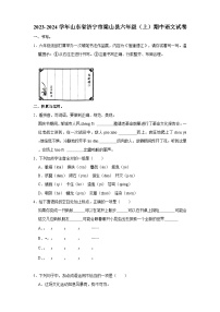 山东省济宁市梁山县2023-2024学年六年级上学期期中语文试卷