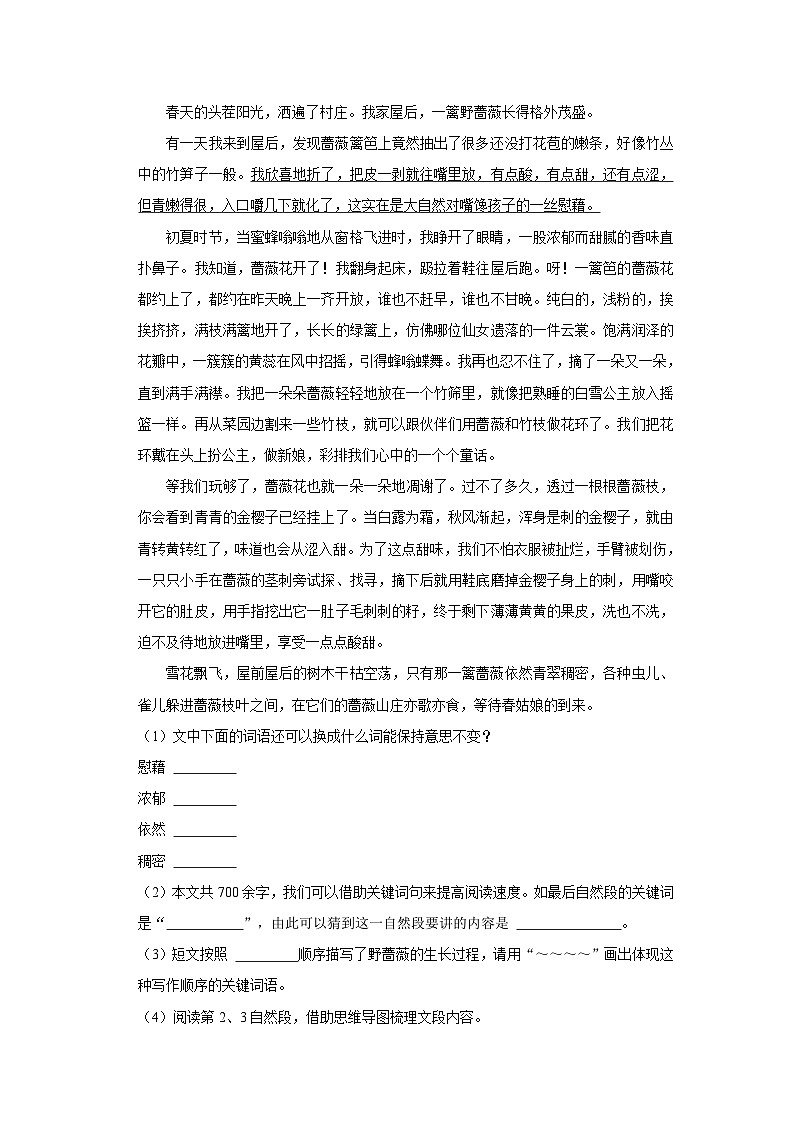 河南省三门峡市湖滨区2023-2024学年五年级上学期11月期中语文试题03