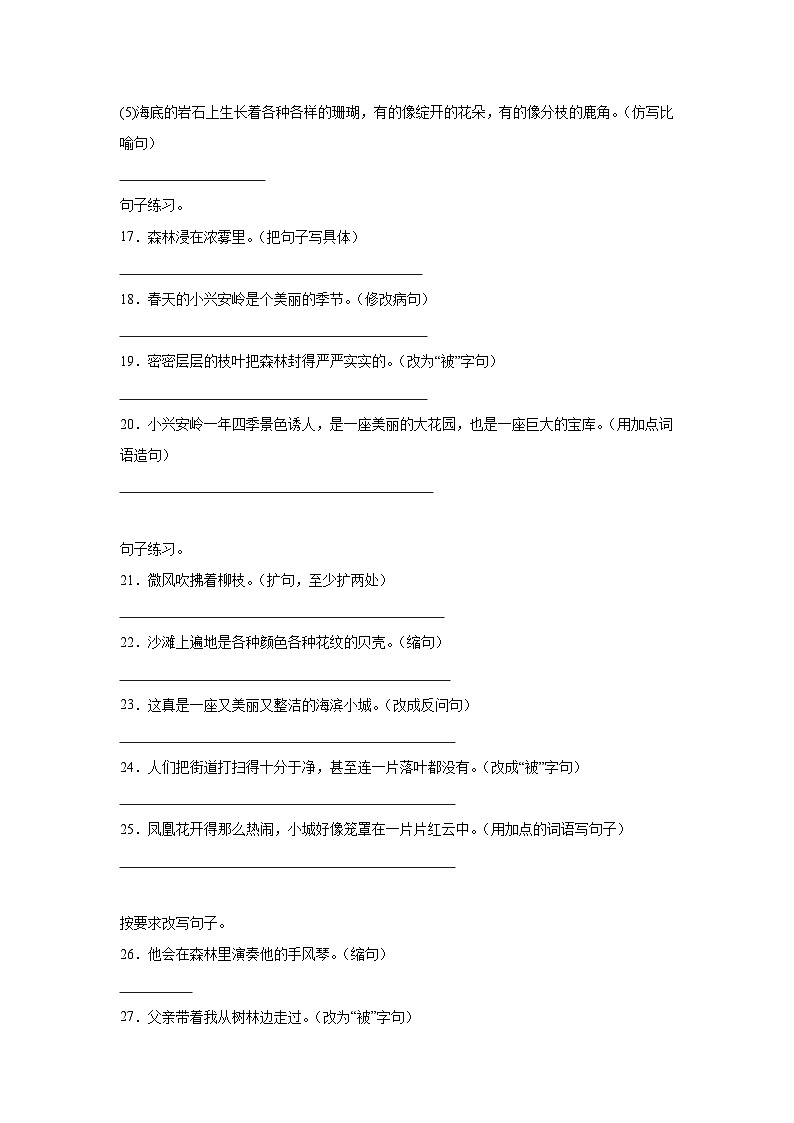 部编版语文三年级上册期末专项复习-句子训练第3页