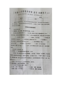 江苏省泰州市兴化市2022-2023学年三年级下学期期末语文试卷