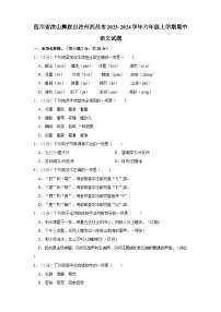 四川省凉山彝族自治州西昌市2023-2024学年六年级上学期期中语文试题（含答案）