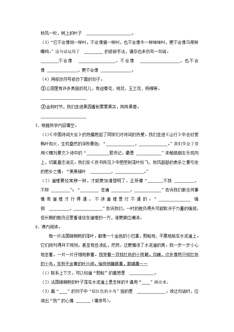 山东省淄博市临淄区实验小学2023-2024学三年级上学期期中过关语文试卷02