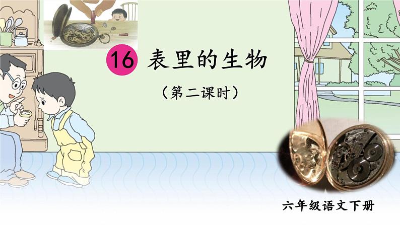 部编版语文六年级下册 16 表里的生物（第二课时） 教学课件第1页