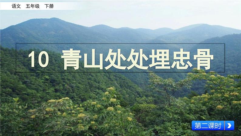 《青山处处埋忠骨》（课件）第2页