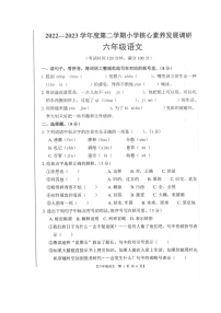 广东省湛江市赤坎区2022-2023学年六年级下学期期末核心素养发展调研语文试题