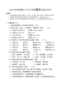 河南省南阳市内乡县2023-2024学年六年级上学期期中巩固与练习语文试题（含答案）