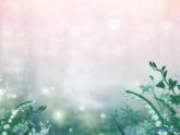 【作】貂尾续貂 拓展课件