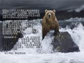 【作】记叙文的线索 写作课件