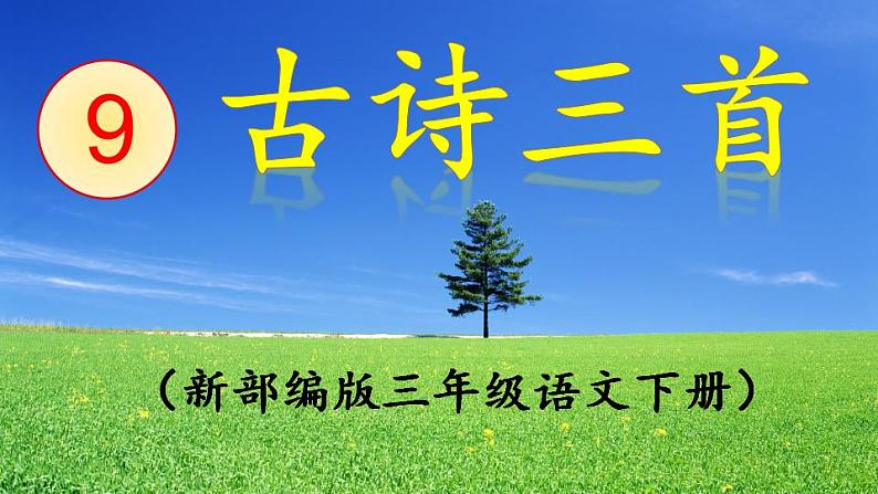 部编三年级下册《九月九日忆山东兄弟》 课件01